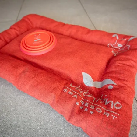 Valentino Hotel Grottammare